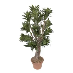 Artificial dracaena fragrans handmade tree