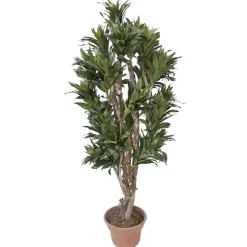 Artificial dracaena fragrans handmade tree