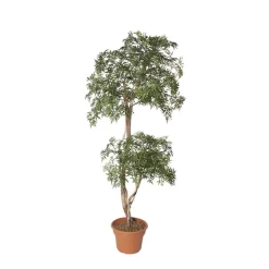 Artificial econo aralia ming indoor handmade tree