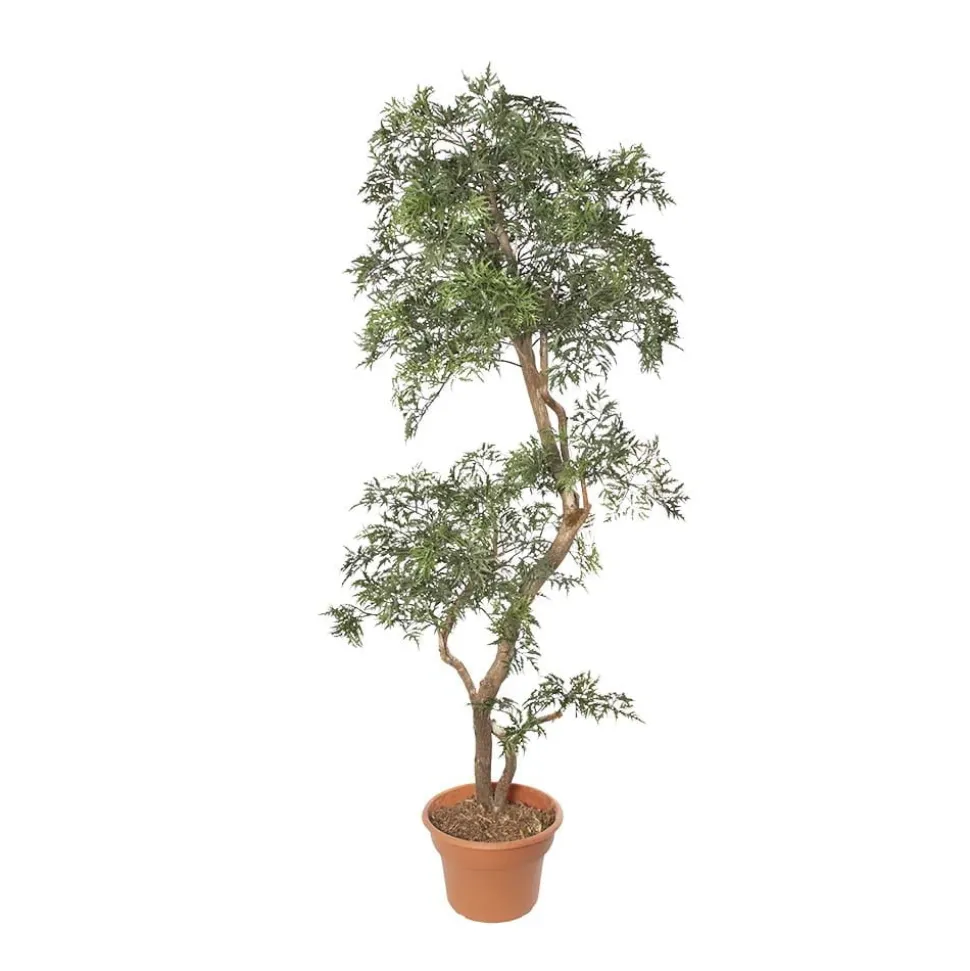 Artificial econo aralia ming indoor handmade tree