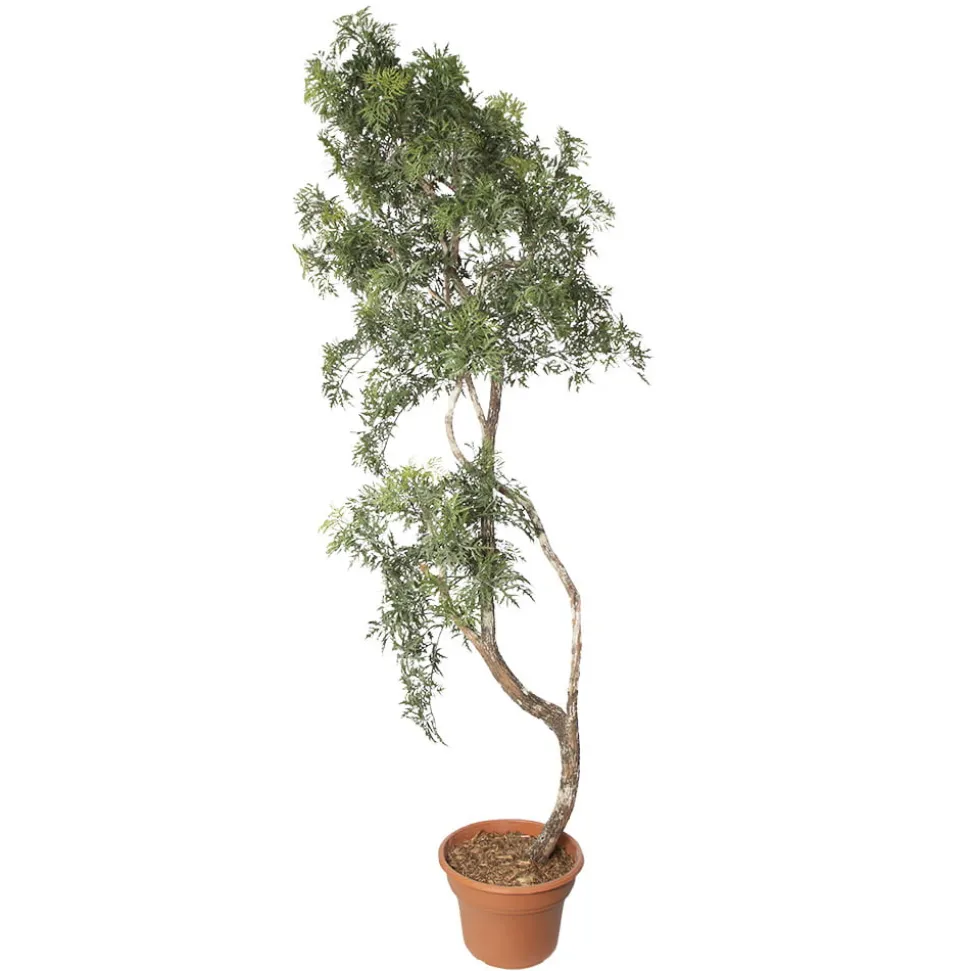 Artificial econo aralia ming indoor handmade tree