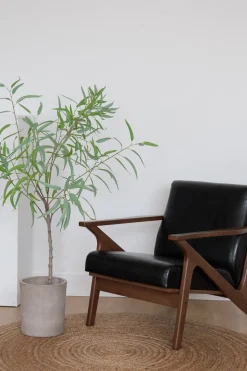 Artificial eucalyptus tree, 55