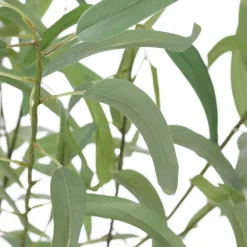 Artificial eucalyptus tree, 55