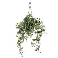 Artificial euonymus plant hanging planter