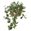 Artificial euonymus wall plant