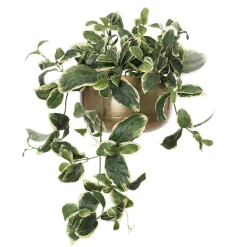 Artificial euonymus wall plant