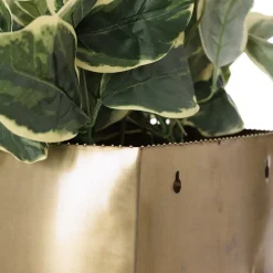 Artificial euonymus wall plant