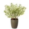 Artificial fern in dark green ceramic pot
