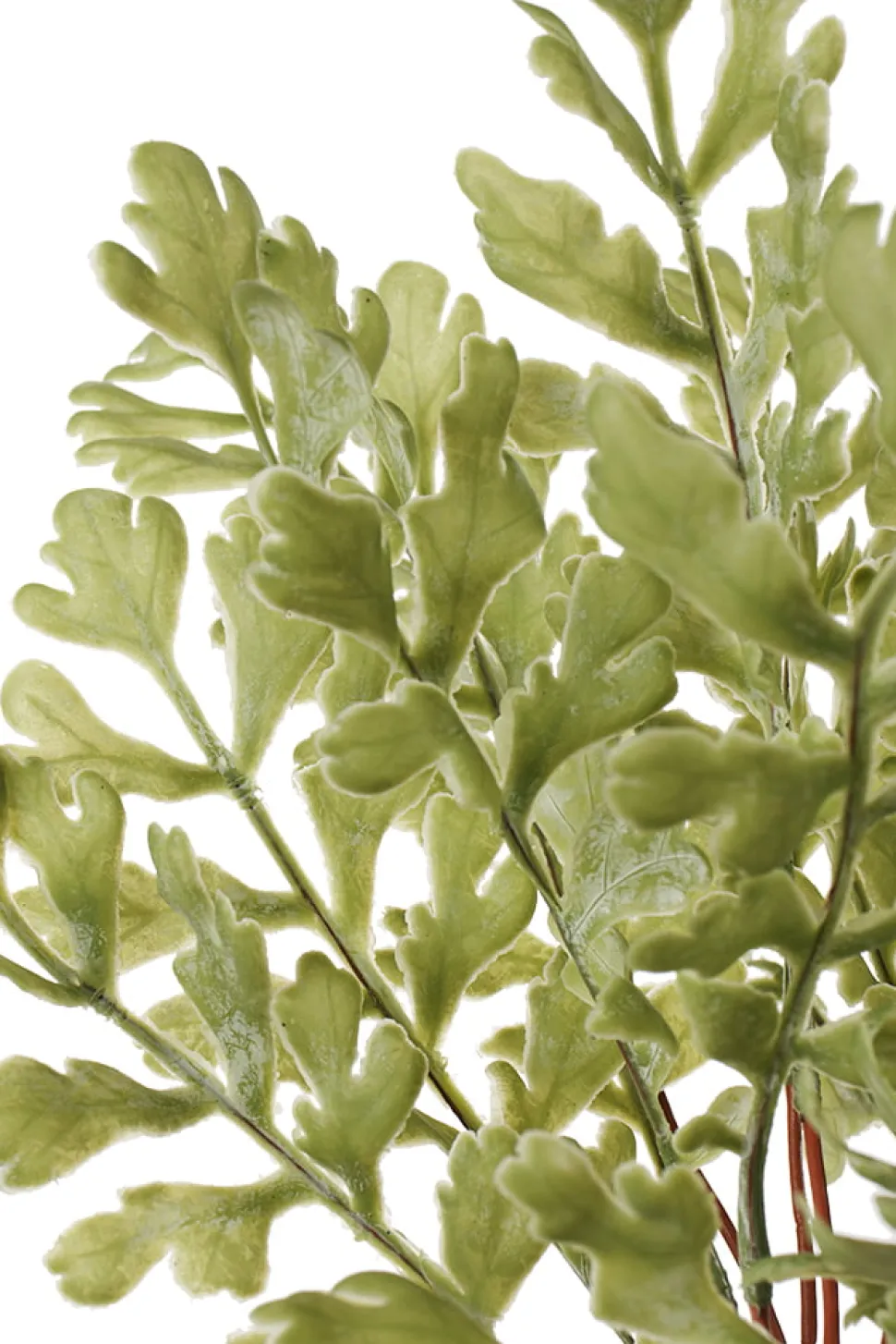 Artificial fern in dark green ceramic pot