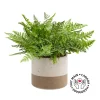 Artificial fern plant in a handmade planter, 9 x 9"