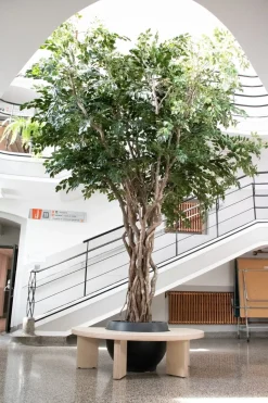 Artificial ficus benjamina handmade tree