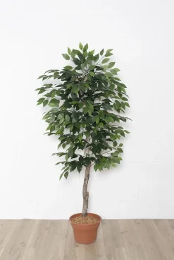 Artificial ficus benjamina handmade tree