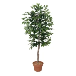 Artificial ficus benjamina handmade tree