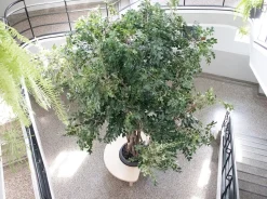 Artificial ficus benjamina handmade tree