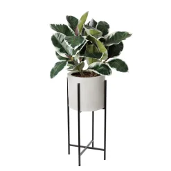 Artificial ficus elastica in a standing planter, 48 x 19"
