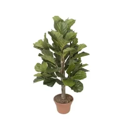 Artificial fiddle-leaf fig handmade tree