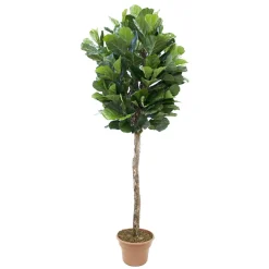 Artificial fiddle-leaf fig handmade tree