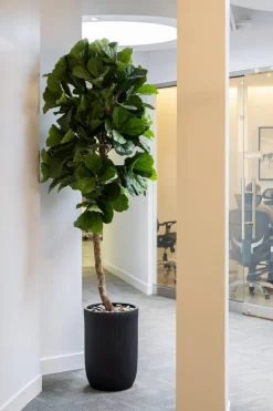 Artificial fiddle-leaf fig handmade tree
