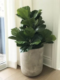 Artificial fiddle-leaf fig handmade tree