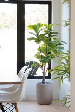 Artificial fig tree, 55"