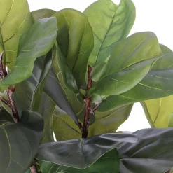 Artificial fig tree, 55