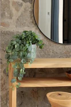 Artificial fitonia hanging plant, 32″