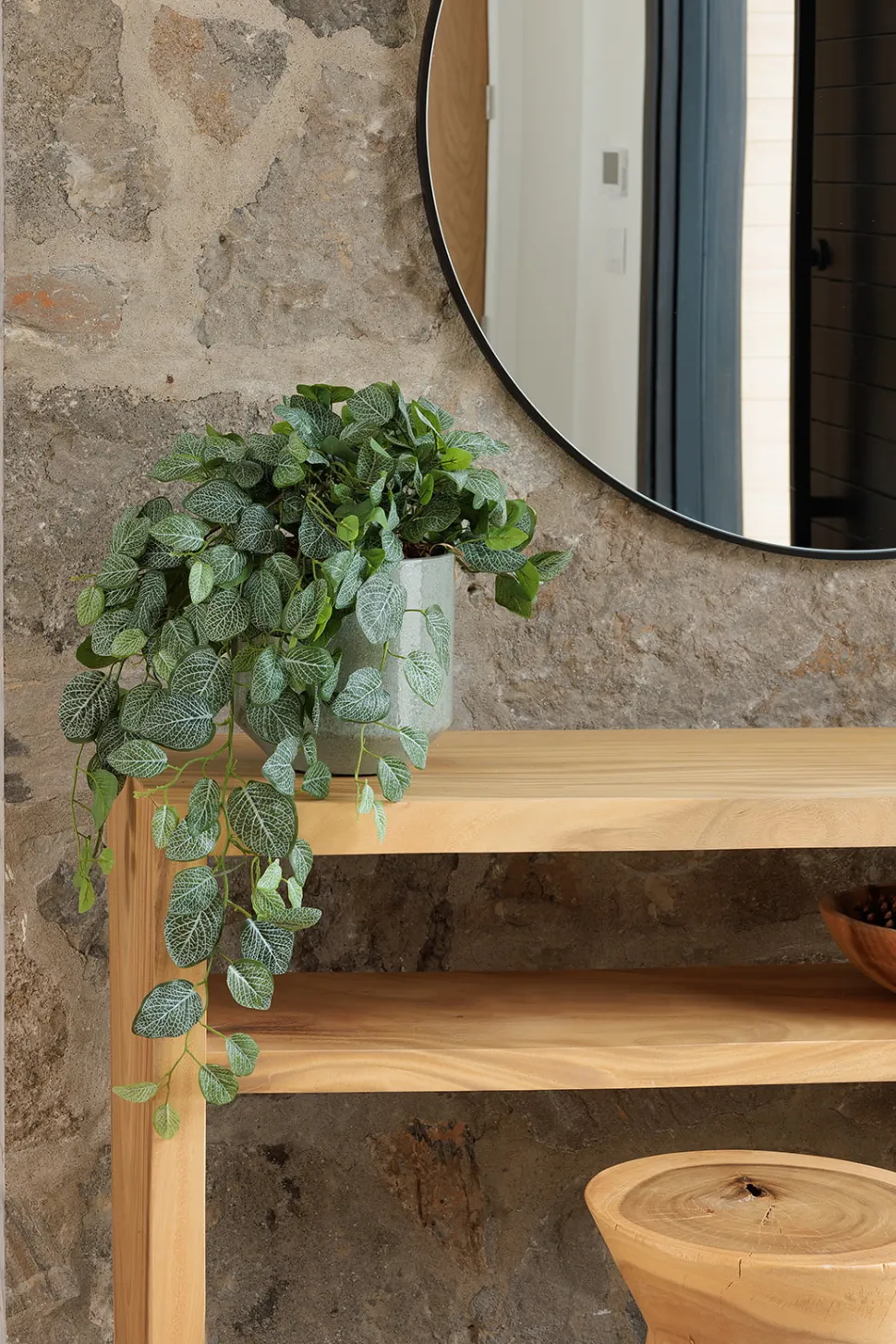 Artificial fitonia hanging plant, 32″