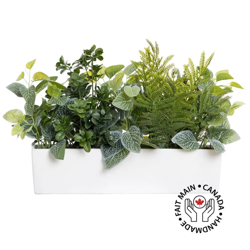 Artificial fittonia and fern centerpiece, 14 x 23"