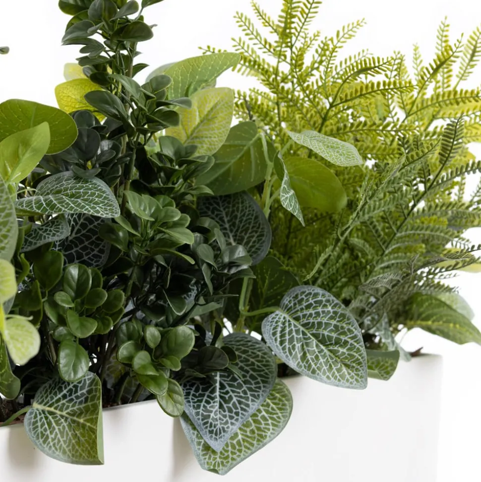 Artificial fittonia and fern centerpiece, 14 x 23"