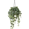 Artificial fittonia hanging planter