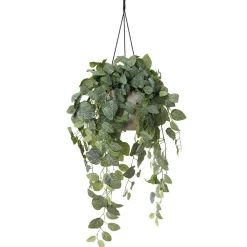 Artificial fittonia hanging planter