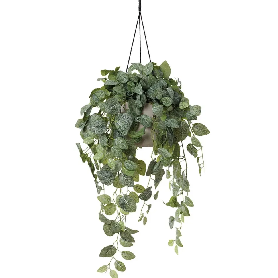 Artificial fittonia hanging planter