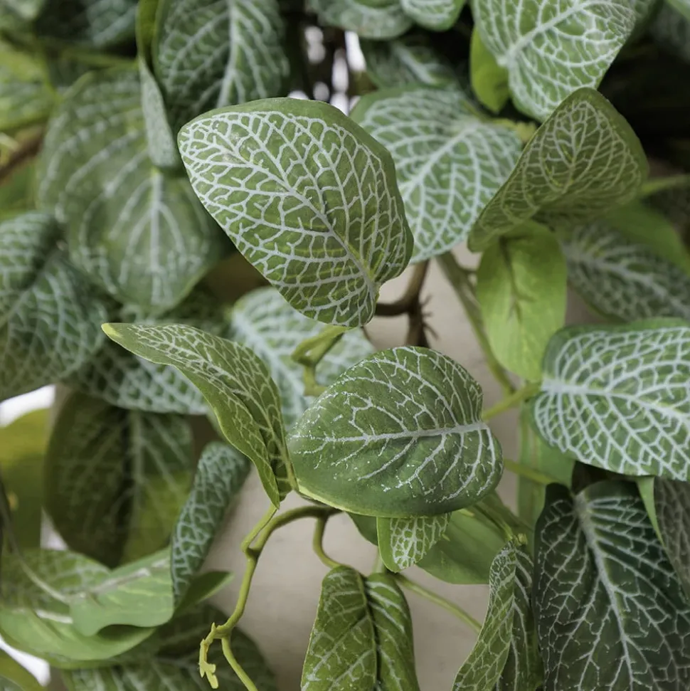 Artificial fittonia hanging planter