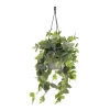 Artificial fittonia plant hanging planter, 37 x 15″