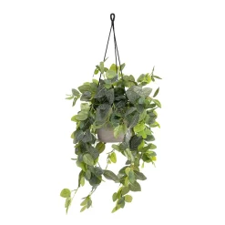 Artificial fittonia plant hanging planter, 37 x 15″