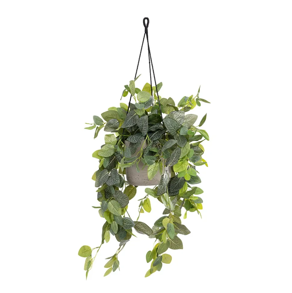 Artificial fittonia plant hanging planter, 37 x 15″