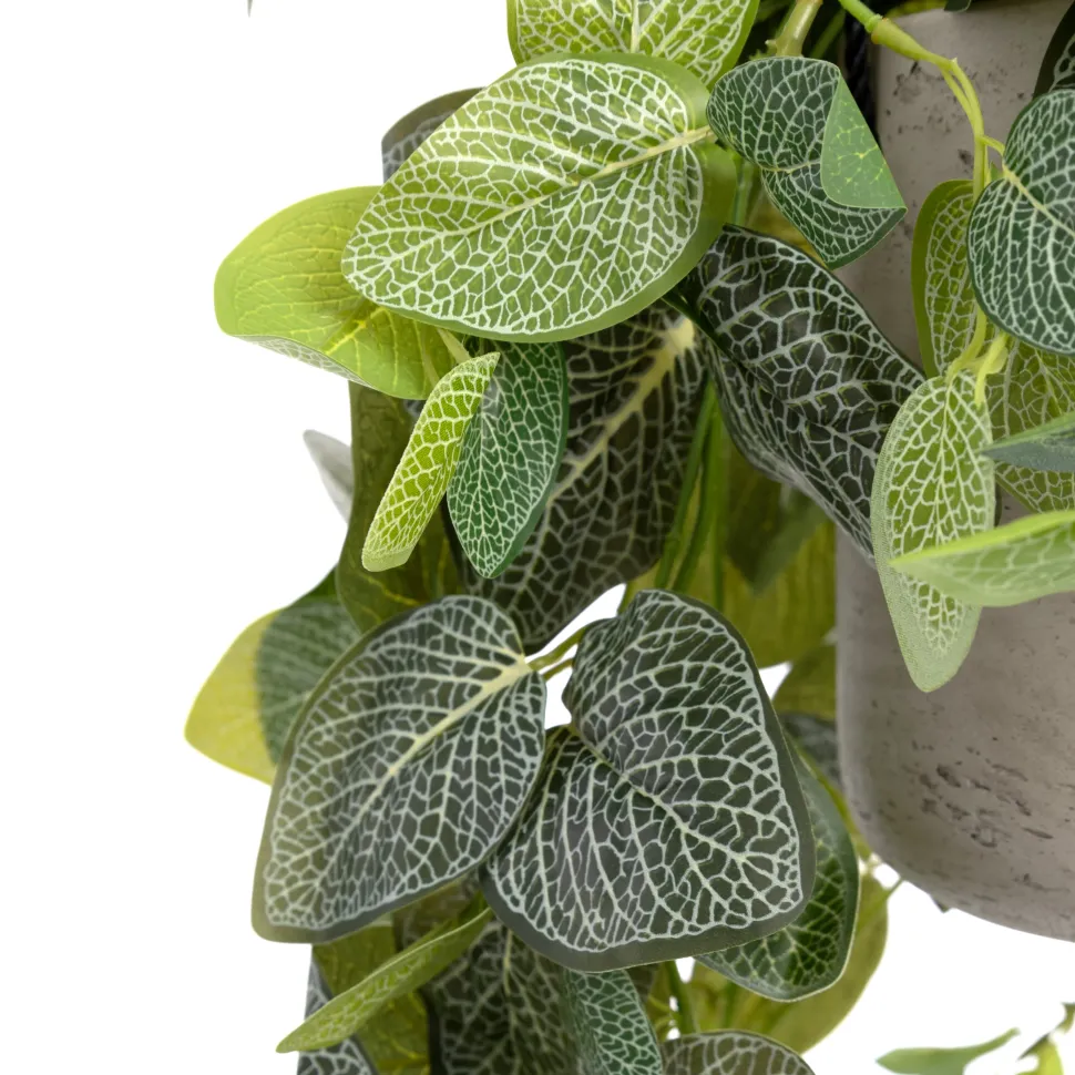 Artificial fittonia plant hanging planter, 37 x 15″