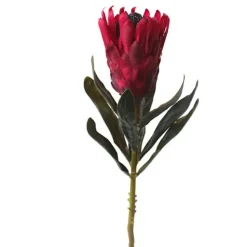 Artificial flower Protea