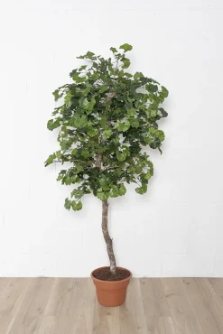 Artificial ginkgo indoor handmade tree
