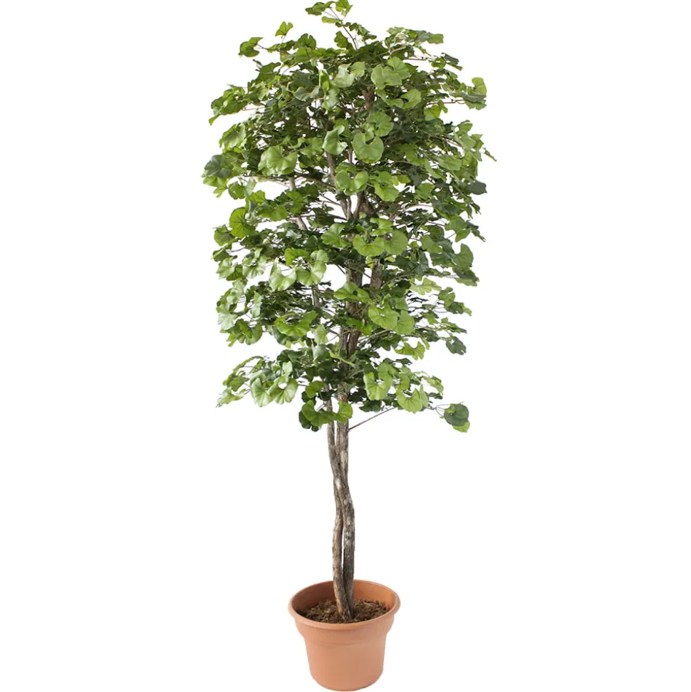 Artificial ginkgo indoor handmade tree