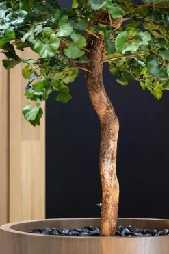 Artificial ginkgo indoor handmade tree