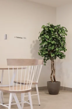 Artificial ginkgo indoor handmade tree