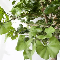 Artificial ginkgo indoor handmade tree