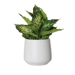 Artificial green aglaonema in a white pot
