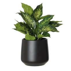 Artificial green aglaonema in a black pot