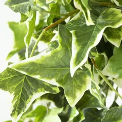 Artificial green and cream hanging ivy plant, 48