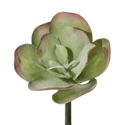Artificial green broad leaf succulent, 10"