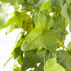 Artificial green hanging ivy plant, 48