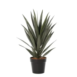 Artificial green yucca, 28″
