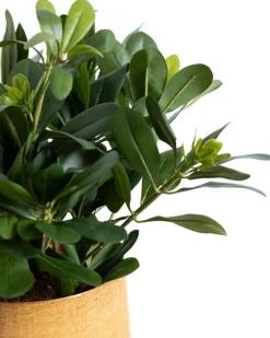 Artificial greenery in a yellow amber pot